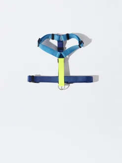PARFOIS Arn&eacute;s Para Perros Azul Shop