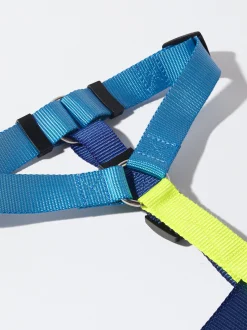 PARFOIS Arn&eacute;s Para Perros Azul Shop