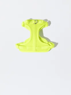 PARFOIS Arn&eacute;s Para Perros Amarillo Best