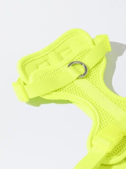 PARFOIS Arn&eacute;s Para Perros Amarillo Best