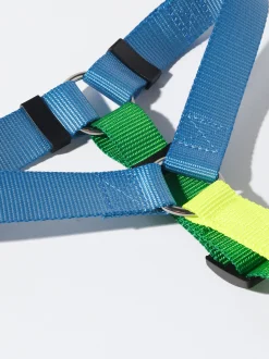 PARFOIS Arn&eacute;s Para Perros Verde Best Sale