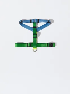 PARFOIS Arn&eacute;s Para Perros Verde Best Sale