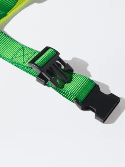 PARFOIS Arn&eacute;s Para Perros Verde Best Sale