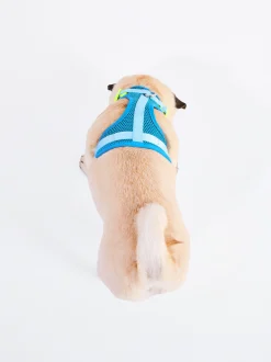 PARFOIS Arn&eacute;s Para Perros Azul Online