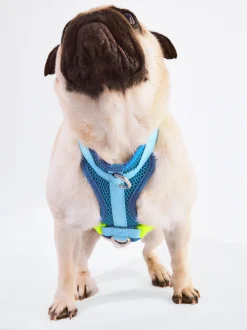 PARFOIS Arn&eacute;s Para Perros Azul Online