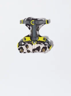 PARFOIS Arn&eacute;s Personalizable Para Perros Multicor Cheap