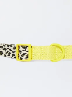 PARFOIS Collar Personalizable Para Perros Multicor Discount