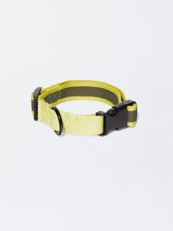 PARFOIS Collar Personalizable Para Perros Caqui Outlet
