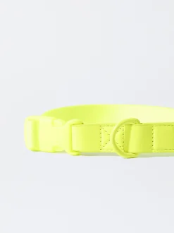 PARFOIS Collar Personalizable Para Perros Amarillo New