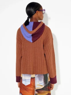 PARFOIS Exclusivo Online - Sudadera Con Capucha Multicor Fashion